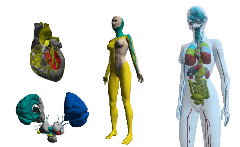 EIS 生体電気インピーダンス測定装置